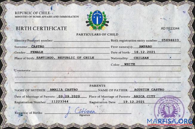 Downloadable Chile vital record birth certificate PSD template